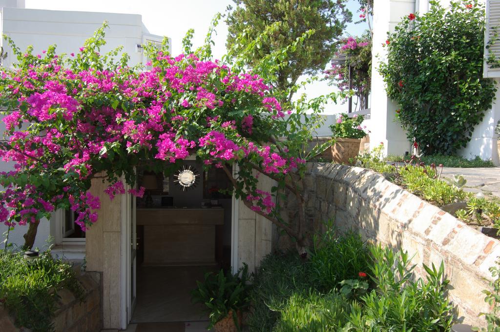 Antique Theatre Hotel Bodrum Exterior photo