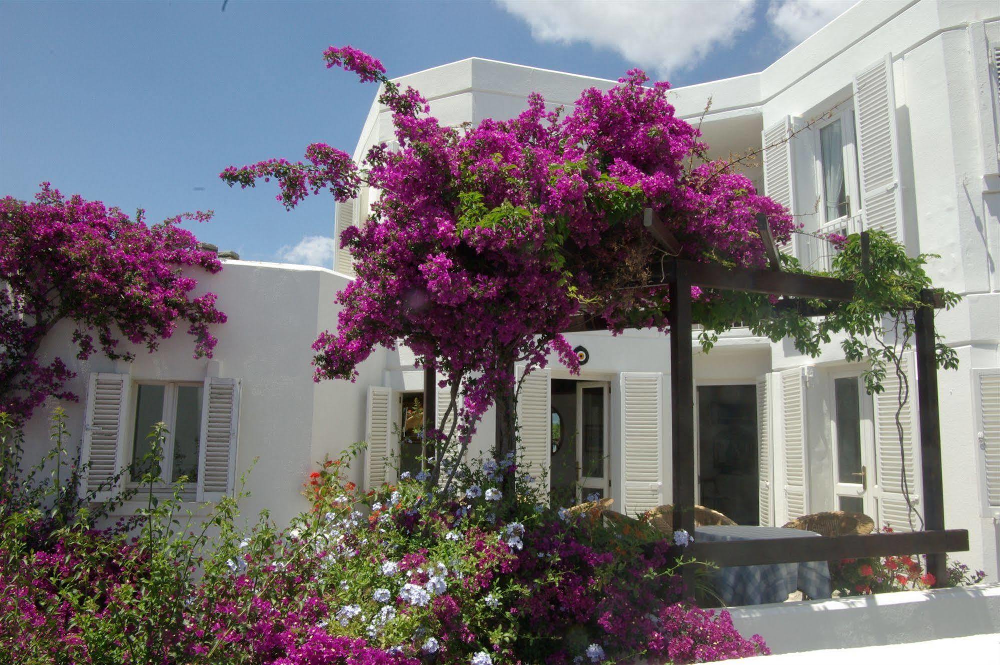 Antique Theatre Hotel Bodrum Exterior photo