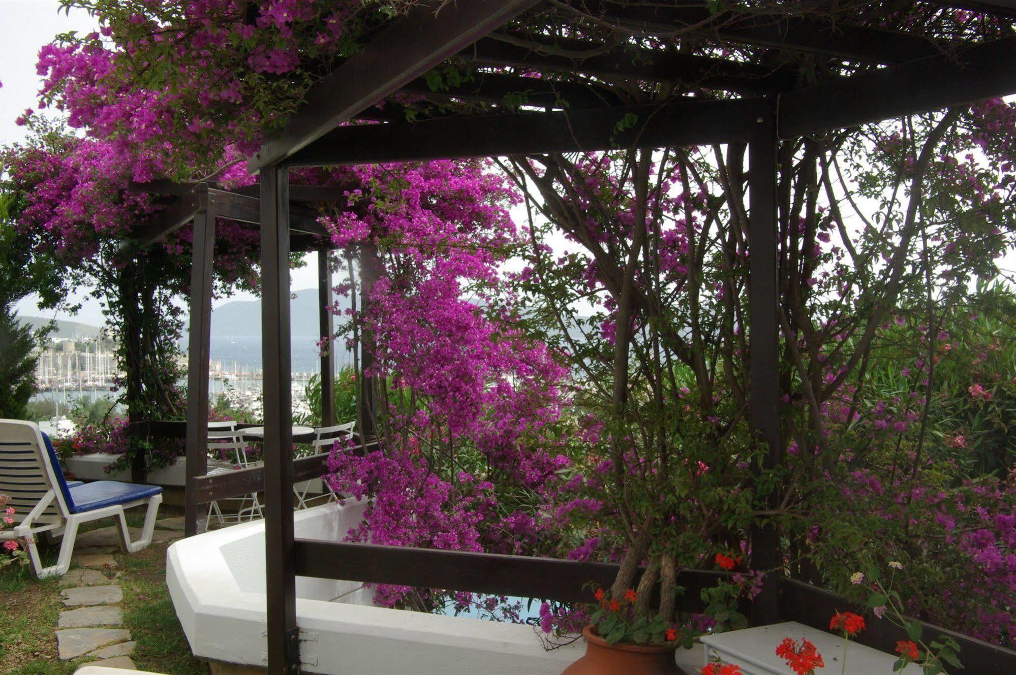 Antique Theatre Hotel Bodrum Exterior photo