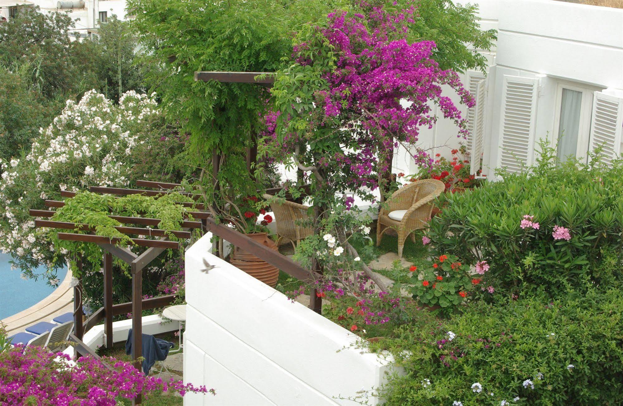 Antique Theatre Hotel Bodrum Exterior photo