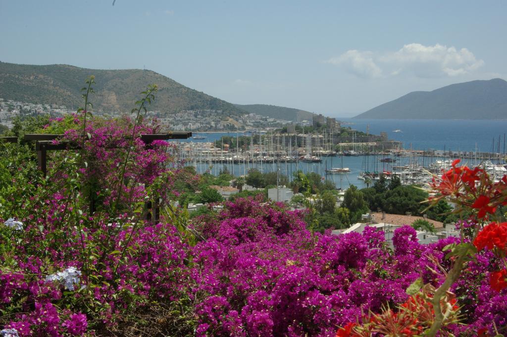 Antique Theatre Hotel Bodrum Exterior photo